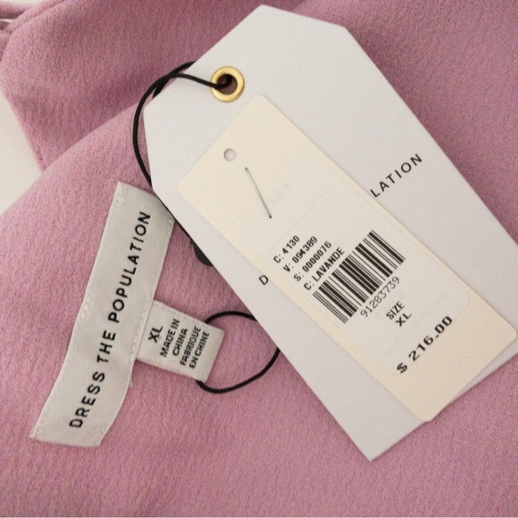 NEW Anthropologie Dress The Population Rory Side-Fringe Midi Dress Pink Rose - Picture 16 of 16